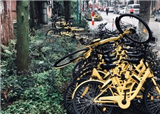 ofo����������ʵ�����(������444)