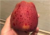 ��������ˮ��ƻ��ðѪ��(������388)