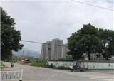 ������һ�ؿ�ɹ����ã�55650��Ԫ���������ĸ��壿(������83)