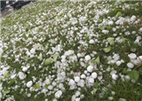 ���ˣ����������쾹Ȼ���������ɪɪ����(������535)