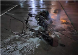 ��ȭ�������������ܲ���������������������������(������245)