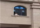 ���꣡���������̻�����̨������һ��ͯ���������ڿ���...(������216)