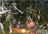 ����һ����ҹʧ����ˮ��(������127)