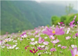 �����Ƭ��ɣ��ʢ����һ��ȥ����ѽ(������771)